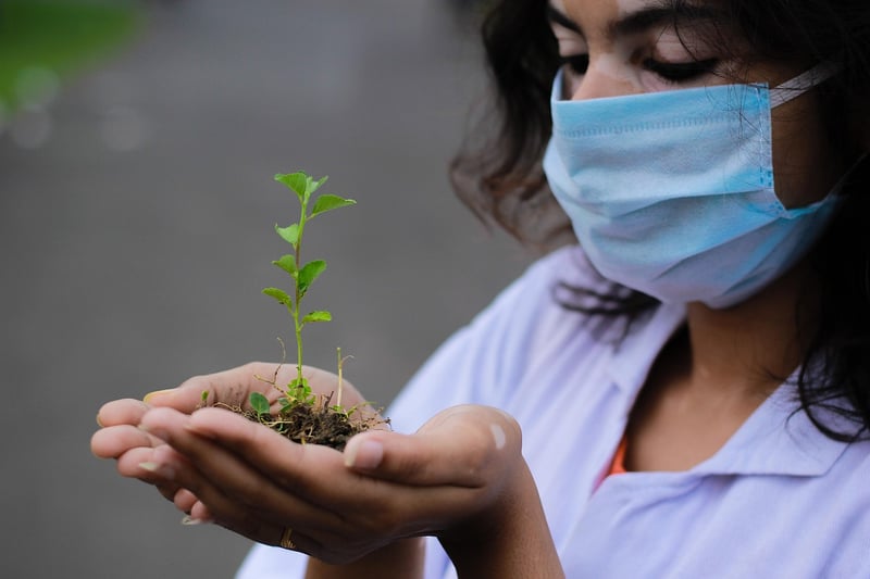 Soil Health Tips