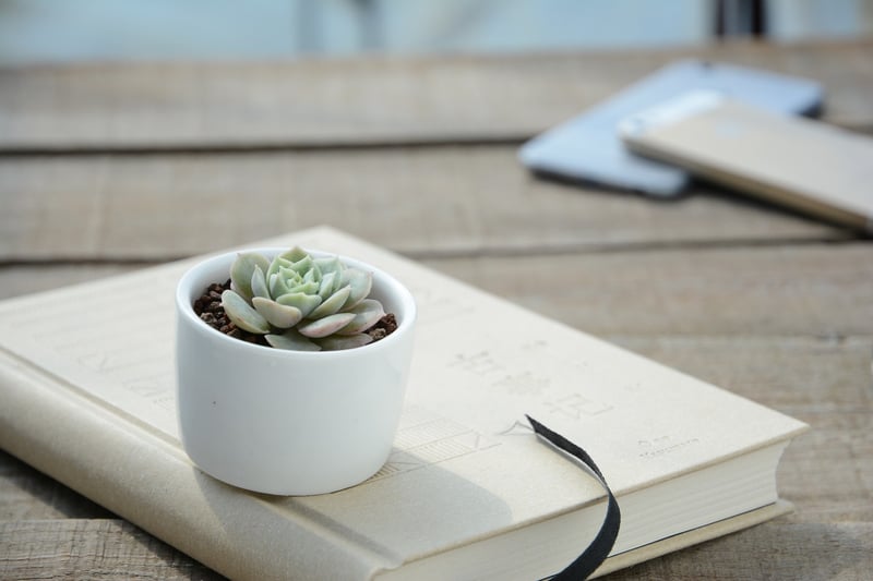 Tiered Plant Stand