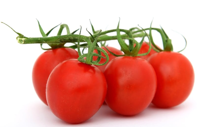 Food Donation Programs in Community Gardens